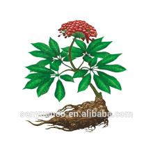 Haute pureté Radix Notoginseng PE CAS: 88105-29-7